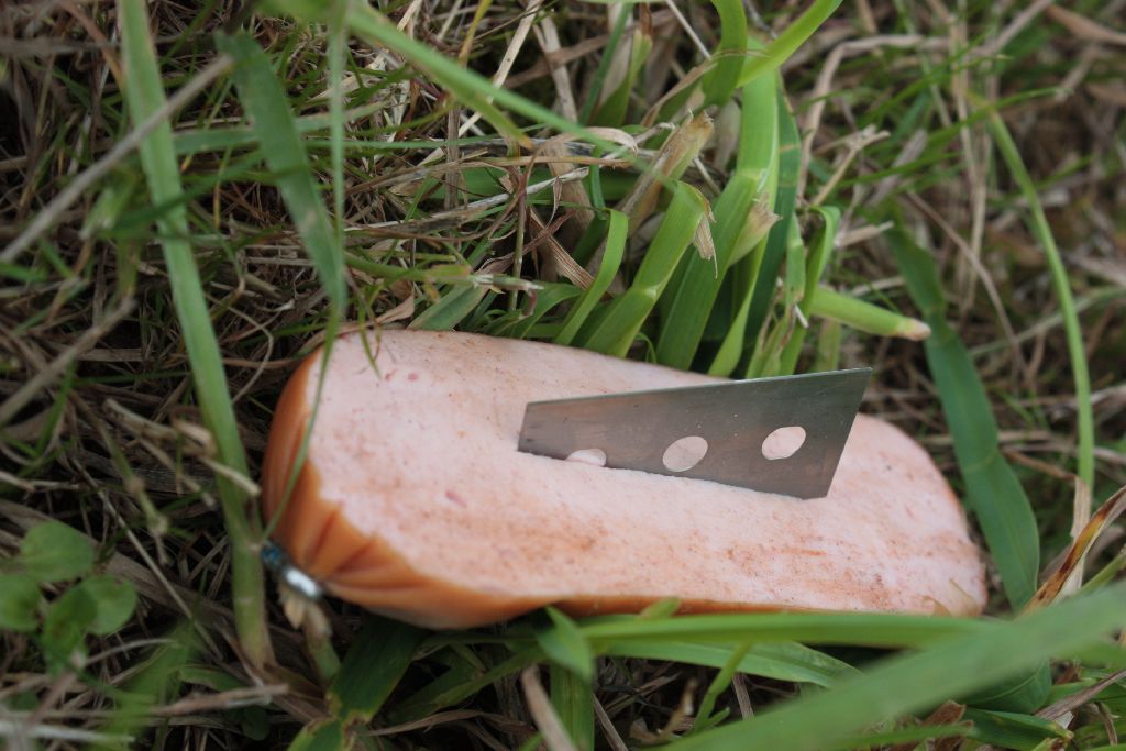 Wurstköder - Unterstütze das Projekt durch einen Einkauf im TierschutzSHOP Giftköder